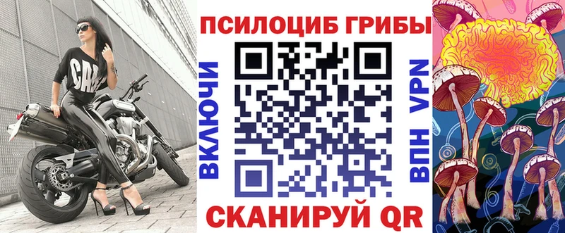 Псилоцибиновые грибы GOLDEN TEACHER  закладки  Шуя 